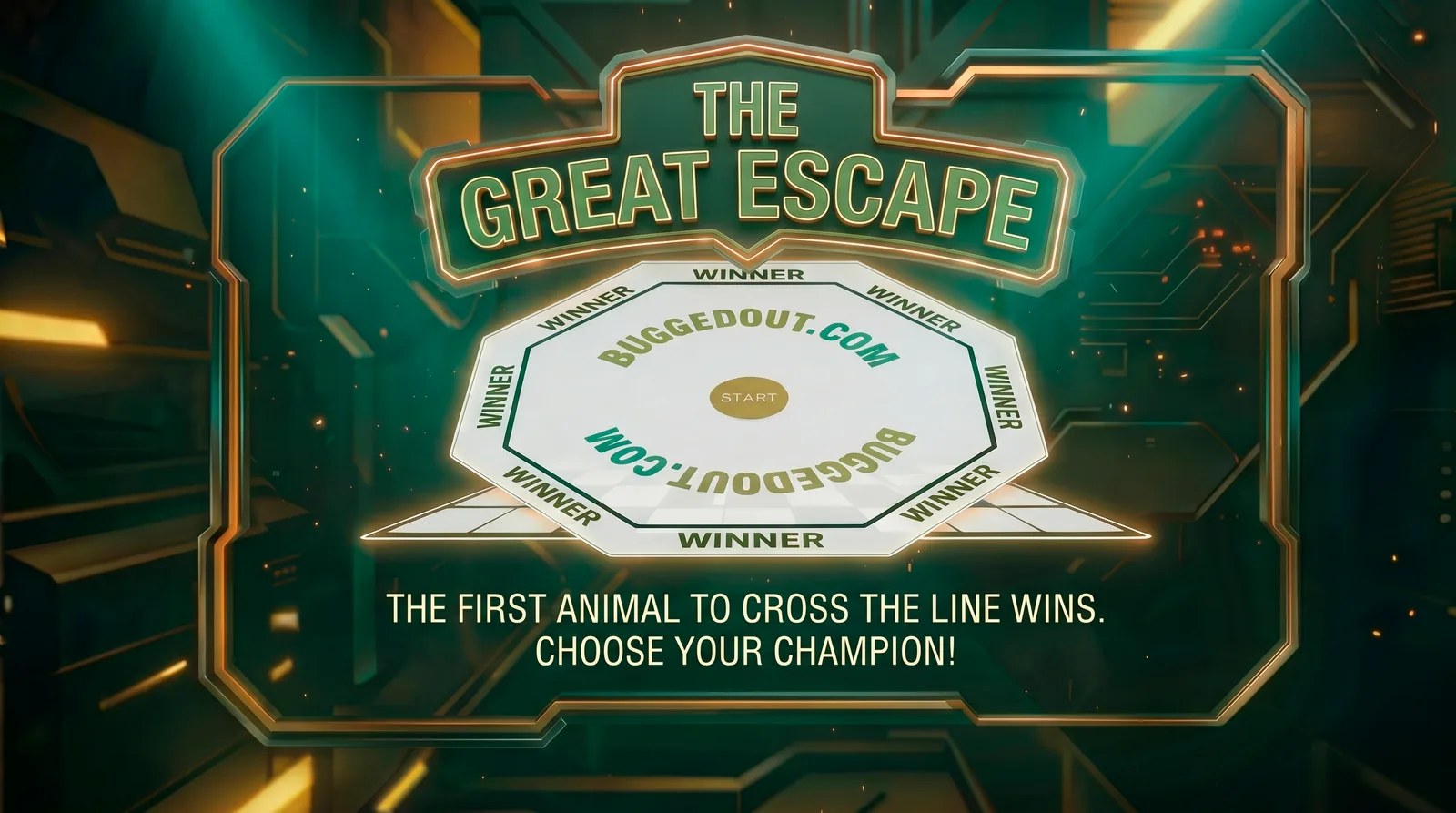 The Great Escape, BuggedOut arena card